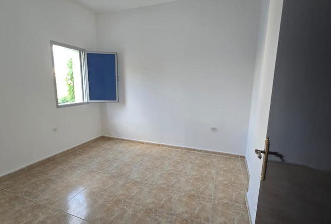 15272810 - Property Image 3