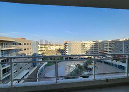 Apartment - 2 bedrooms - 2 bathrooms for rent in Tower 14 - Al Reef Downtown - Al Reef - Abu Dhabi