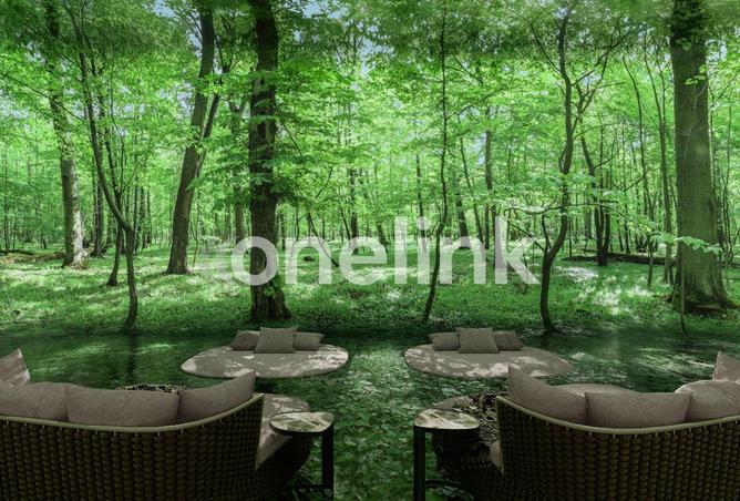 15756844 - Property Image 2