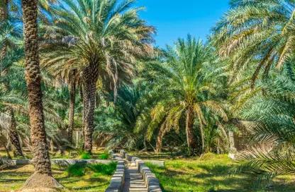 أرض - استوديو للبيع في الرحبة - المنيرة - شاطئ الراحة - أبوظبي
