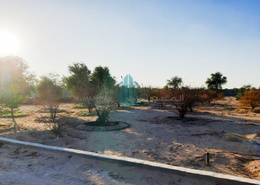 Farm for sale in Al Khatim | House | built wall