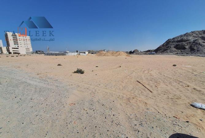 14896211 - Property Image 3