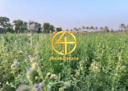 Farm for sale in Al Faqa’a - Al Ain
