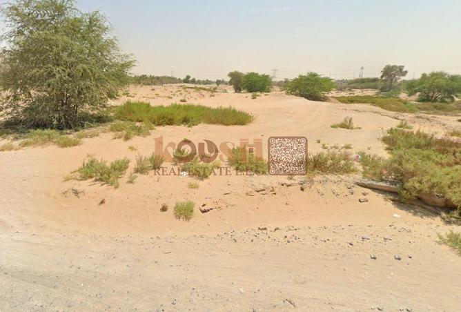 16102479 - Property Image 3