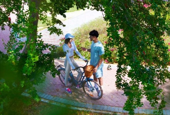 15485182 - Property Image 3