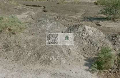 Land - Studio for sale in Masfoot 1 - Masfoot - Ajman