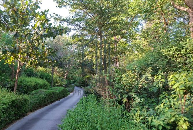 15488780 - Property Image 3