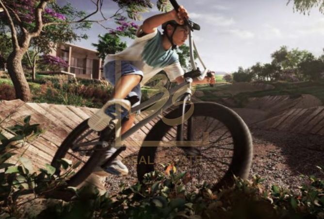 14262387 - Property Image 3