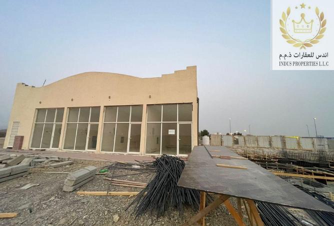 14781517 - صورة العقار 3