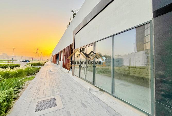 15163626 - Property Image 3