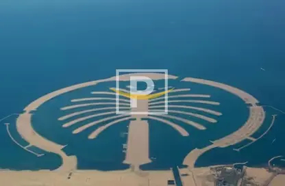 صورة لـ تفاصيل أرض - استوديو للبيع في الواجهة البحرية - نخلة جبل علي - دبي ، صورة رقم 1