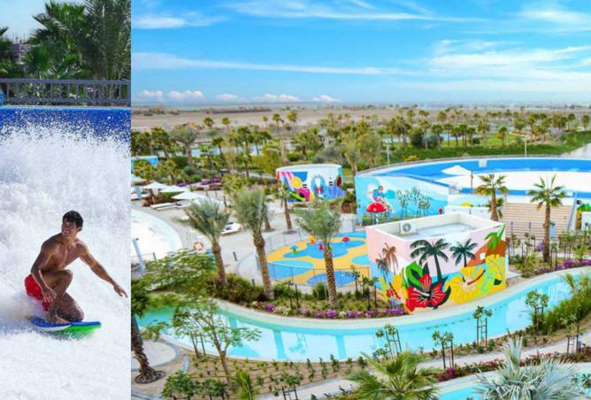 15603395 - Property Image 3