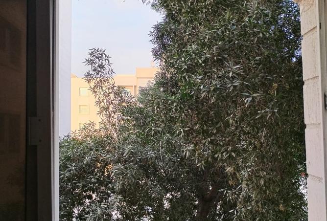 15914235 - Property Image 3