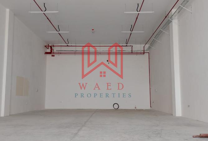 14153986 - Property Image 3