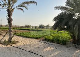 Farm for sale in Al Rahba - Abu Dhabi