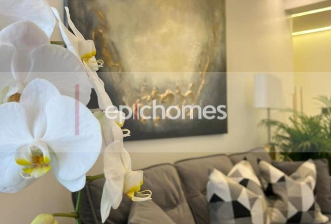 15794404 - صورة العقار 3