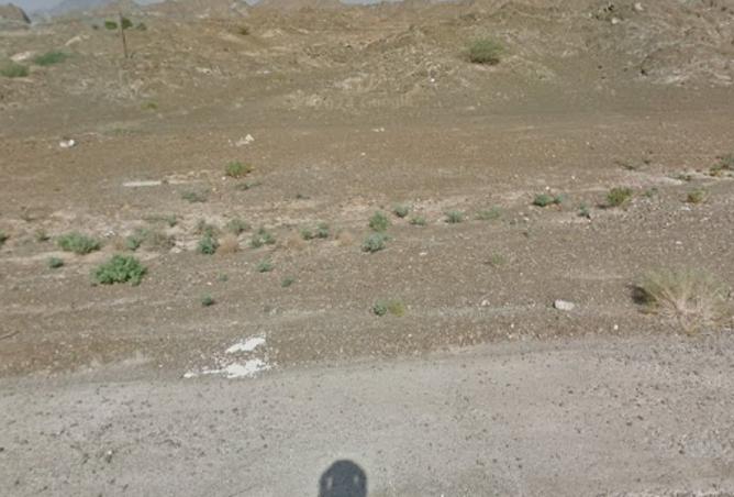 15527994 - Property Image 2