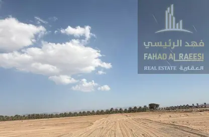 Land - Studio for sale in Manama - Ajman