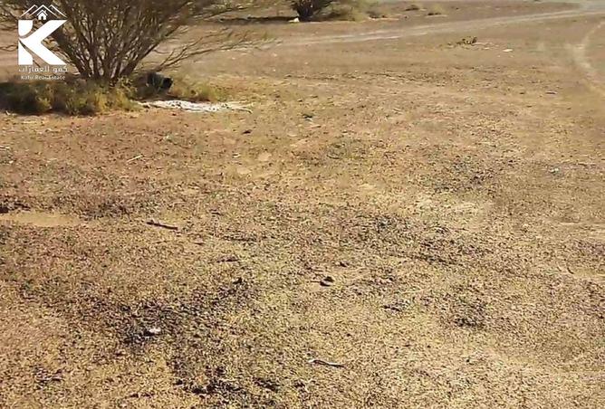 16050977 - صورة العقار 3