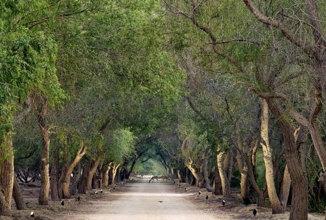 15538337 - صورة العقار 2