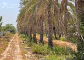 صورة لـ نبذة عن المنطقة في العوير